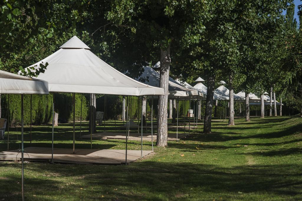 & Liguerre de Cinca
